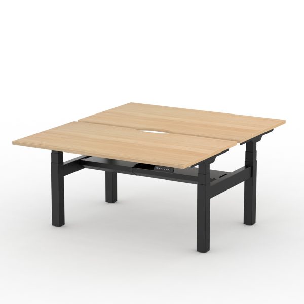 Alto 2 Back-to-Back Height (mm) Adjustable Bench