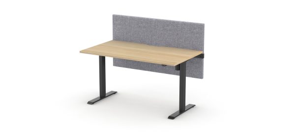Alto 1 Standing Desk